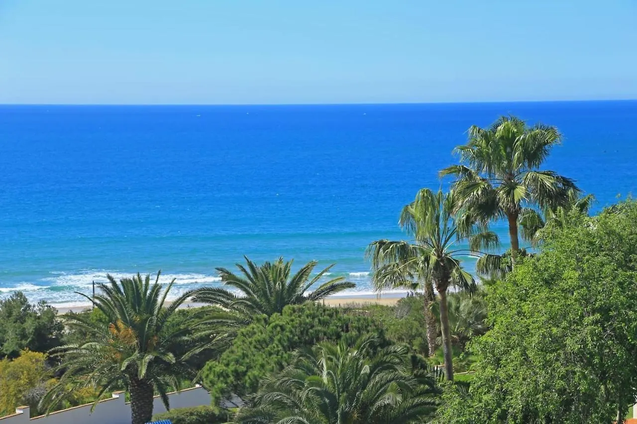 El Carino De La Playa contacts